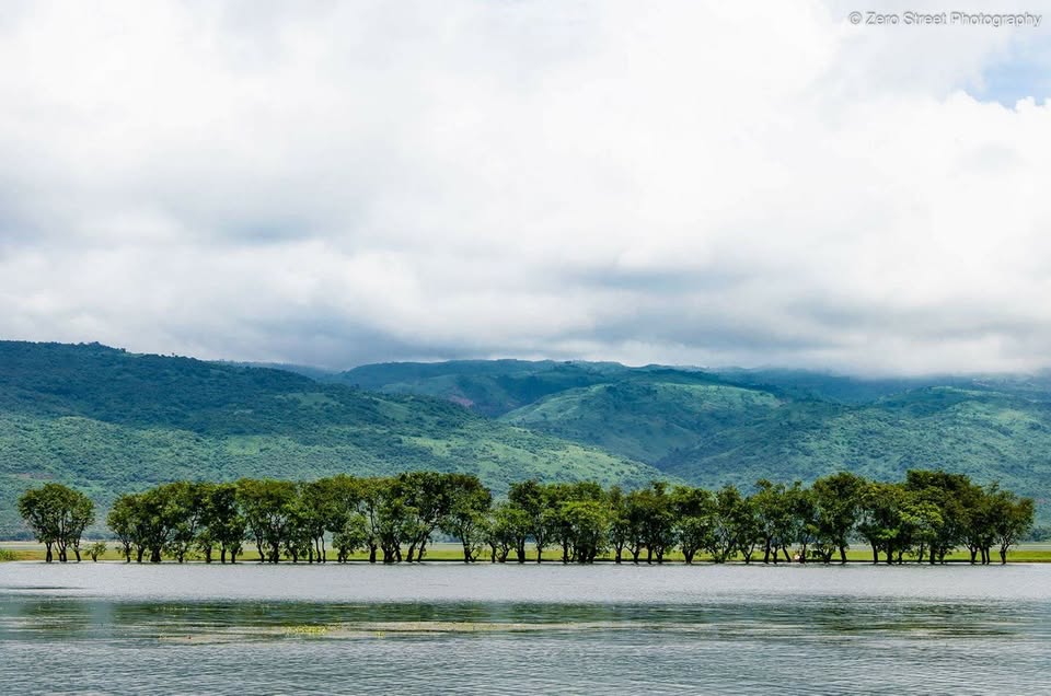 Tanguar Haor Boat Tour